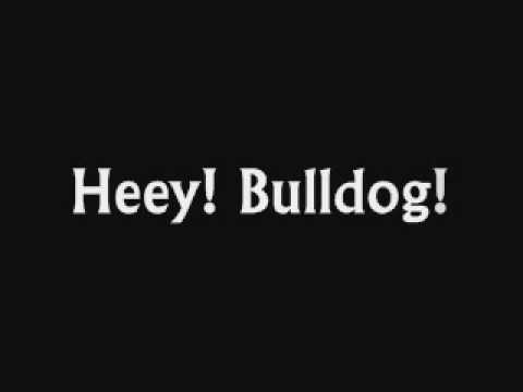 Hey Bulldog! Lyrics