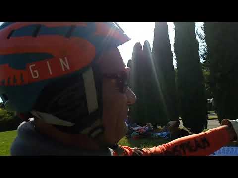 Gemona Friday cancelled