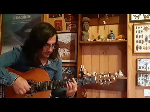 Flower or carnage - Meiko Kaji (guitar cover)