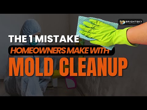 The 1 Mistake Homeowners Make with Mold Cleanup