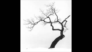 The Trashmen - House of the Rising Sun