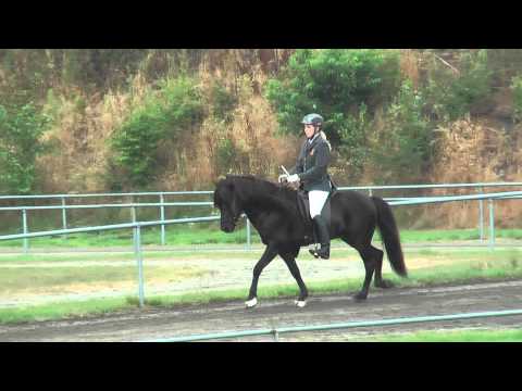 Teigur vom Kronshof, DIM10F1