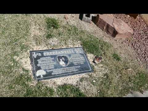 Singer Songwriter Ron Gaylord Grave Palm Memorial Park Las Vegas Nevada USA March 8, 2024