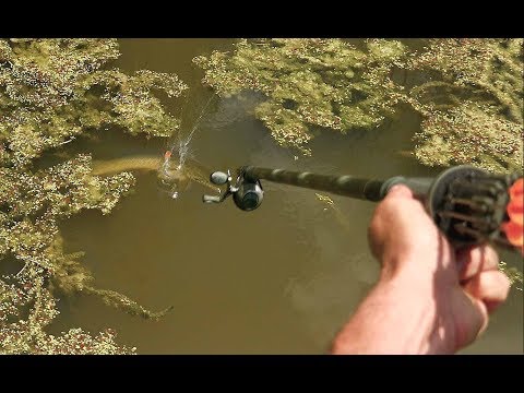 thehunter call of the wild fishing thehunter call of the wild fishing