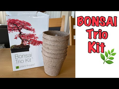Bonsai Trio Kit, How to