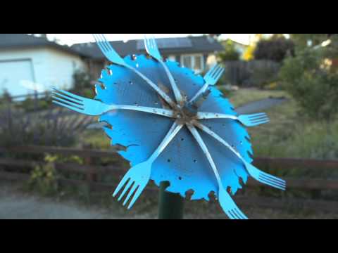 The Bohemian Life: Tyson Barbera