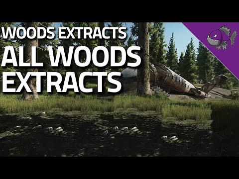 All Woods Extracts - Extract Guide - Escape From Tarkov