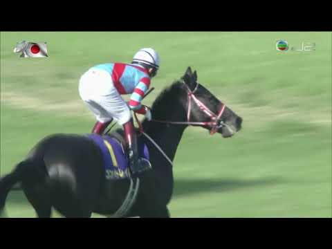 2020 Satsuki Sho G1 - Contrail (鐵鳥翱天) - Y.Fukunaga