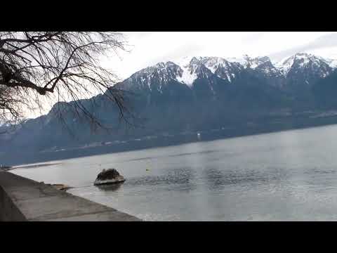 HDV 0550 Genfersee 25.3.2022