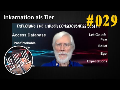MBT-Nugget #29 - Inkarnation als Tier  I  Thomas Campbell
