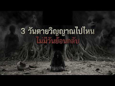 ความตายไม่มีจริง? นักฟิสิกส์รางวัลโนเบลเผย "วิญญาณ" คือข้อมูลควอนตัมที่ไม่มีวันสูญหาย!