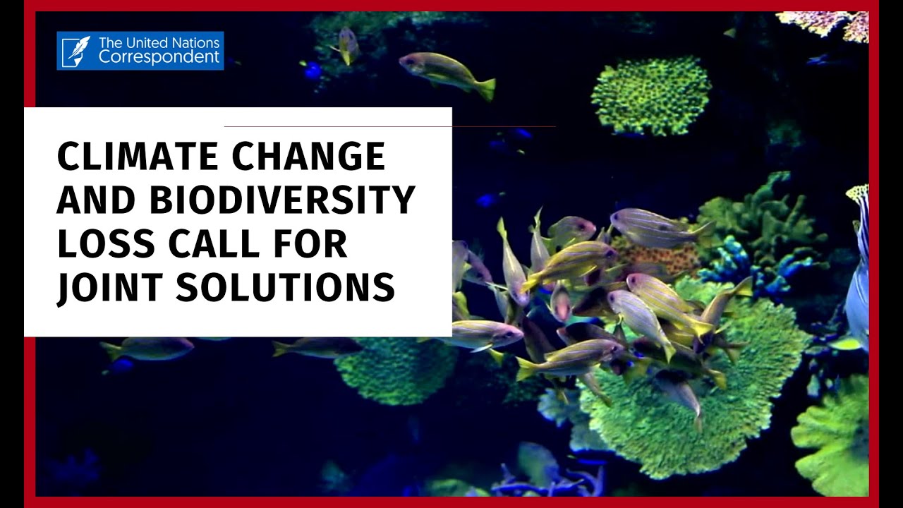 Climate change and biodiversity loss call for joint solutions