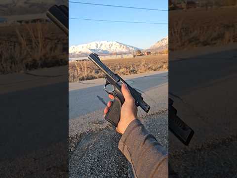 Browning Buck Mark Hunter | UnBoxed