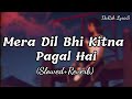 Mera Dil Bhi Kitna Pagal Hai(Slowed+Reverb) Darsh Lyrics