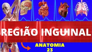 ANATOMIA DA REGIÃO INGUINAL (ANATOMIA HUMANA) - HÉRNIA INGUINAL #ANATOMIA
