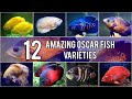 TOP 12- Amazing Oscar Fish Varieties |Videos|