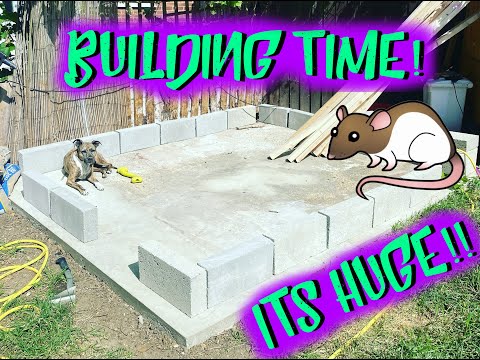 SNACK SHACK IS COMPLETE! Building a rodent breeding room!