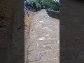 Ye Wadiya Ye Fijaye Bula Rahi Hai Tumhe Mohdrafi Old Hindisong