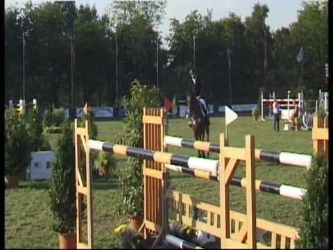 Christallica, 10jhr.Holsteiner Stute v.Cash and Carry