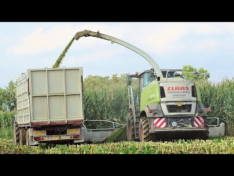 Claas Jaguar 960 Type 497 + Claas Orbis 750 | PORCELLATO