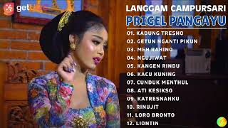 Download lagu PRIGEL PANGAYU KADUNG TRESNO PLAYLIST CAMPURSARI T... mp3