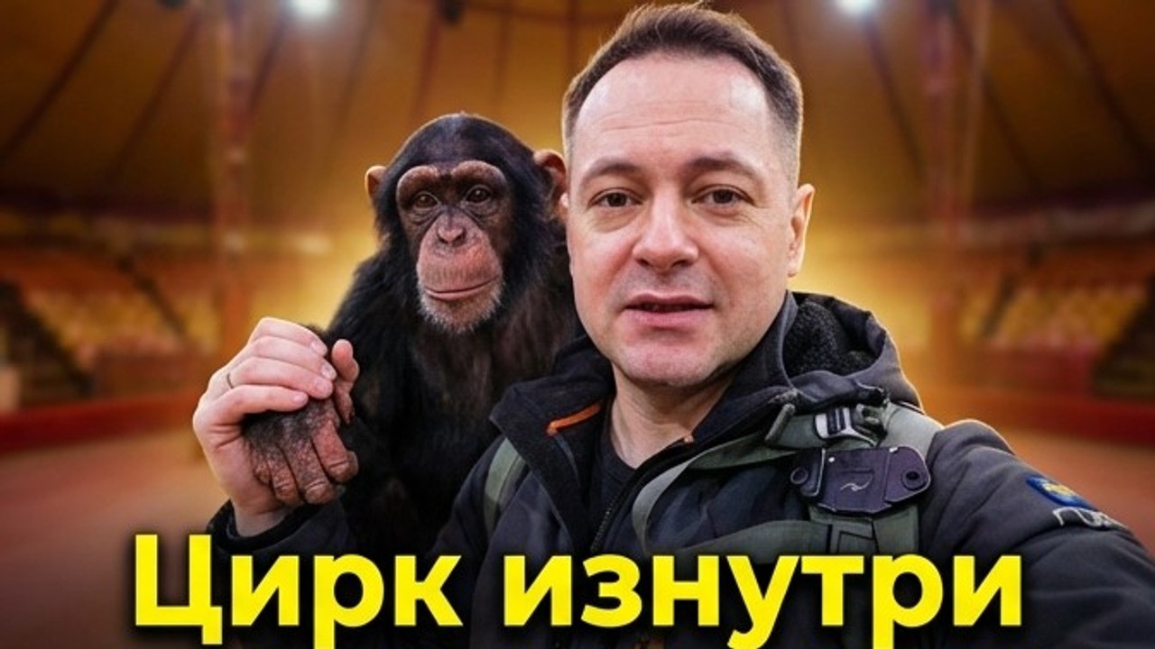 Работа без Выходных! Как Живут Животные в Цирке?