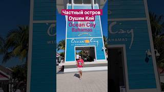 Частный остров Оушен Кей на Багамах #oceancay #bahamas #cruisetour #cruise