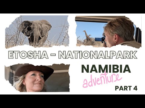 Adventure Namibia 🇳🇦 – Self-drive safari part 4: From Damaraland to Etosha National Park & ​​Okav...