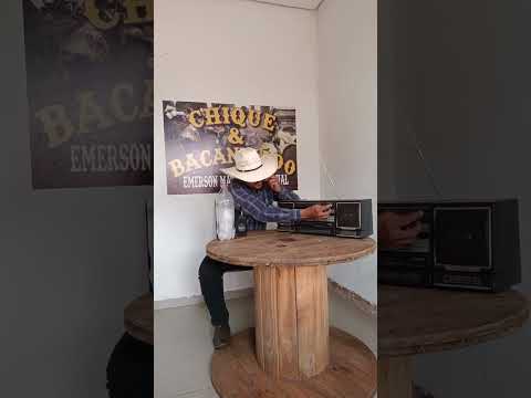 Naura Almeida, sem limites. vida a dois e Emerson Matogrossooficial