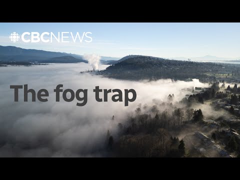 CBC News and CBC British Columbia