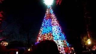 SDC Christmas Tree - Joy to the World
