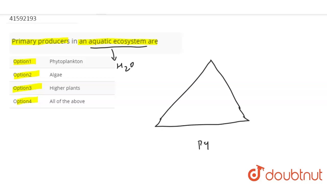 Who are the major producers in an aquatic ecosystem? Tipseri