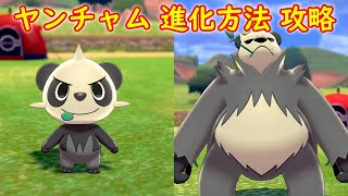 ヤンチャム ポケットモンスター ピジョン ワシボン バクーダ