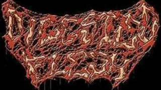 Digested flesh