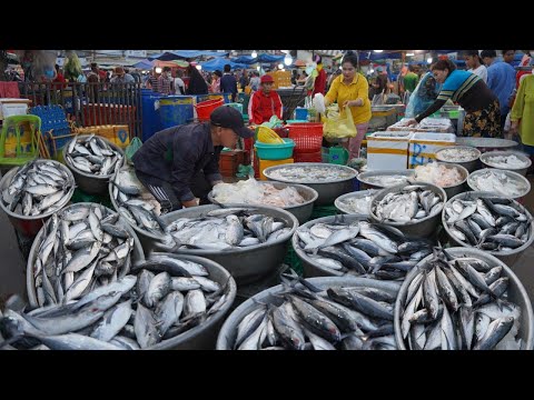 Amazing Second Site Distribute Fish, Seafood - Plenty Alive Fish, Dry Fish, Seafood & More