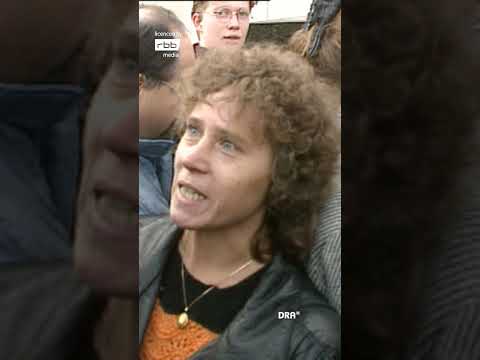 Mauerfall 1989: Interviews an der Grenze #ddr #retro