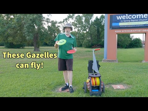 These Gazelles Can Fly! Innova Gazelle Review Round