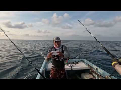 DEEP-SEA FISHING! AWESOME