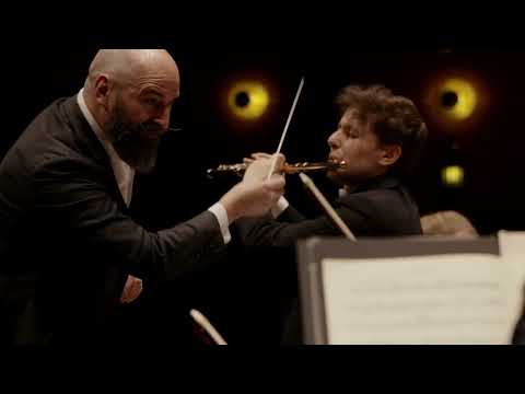 W. A. Mozart flute Concerto k313