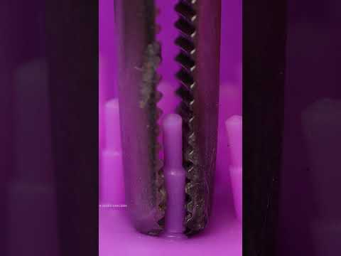 Plucking Spikes Up Close Oddly Satisfying Mix
