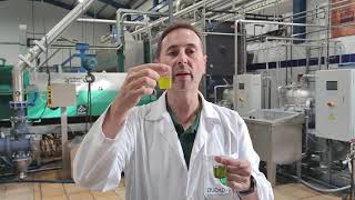 ¿Aceite de Oliva Virgen Extra Filtrado o sin Filtrar