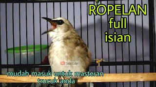 Download lagu MEWAH!!! Ropelan trucuk gacor full isian Jamin masuk untuk masteran trucukan anda mp3