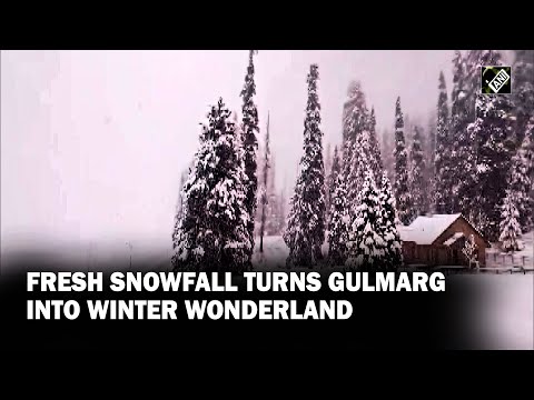 J&K: Gulmarg gets season's first snowfall, turns into...