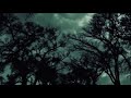 Brian Eno - In Dark Trees