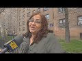 News 12 BX Mayor Declares War On Rats At NYCHA