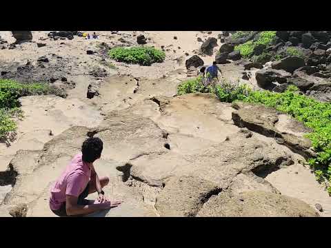 Honolulu,  Hawaii #vacation #travel #trip #tour #beach #places