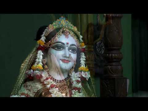 Most Beautiful Mangal Aarti Darshan- Sri Radha Madhav and Sri Pancha-Tattva By HG .Basu Gosh Prabhu