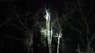 Download lagu NITECH'PR'CUTTERS SWITCHBLADE #Mojostyle mp3 Download lagu NITECH'PR'CUTTERS SWITCHBLADE #Mojostyle mp3