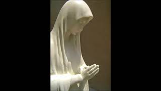 Oração a Nossa Senhora do Silêncio