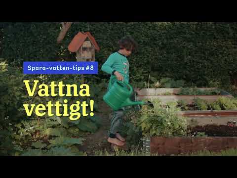 spara vatten tips 8 vattna vettigt 16x91
